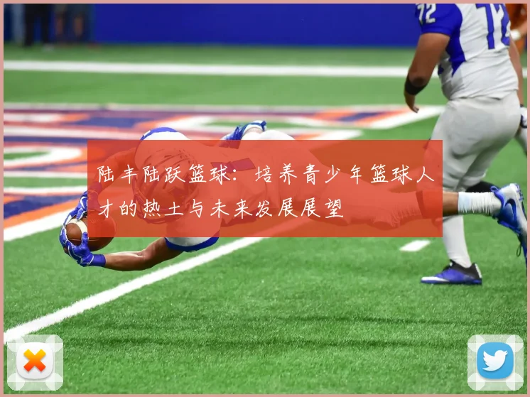 陆丰陆跃篮球：培养青少年篮球人才的热土与未来发展展望