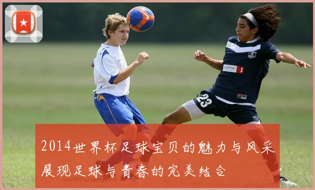 2014世界杯足球宝贝的魅力与风采展现足球与青春的完美结合