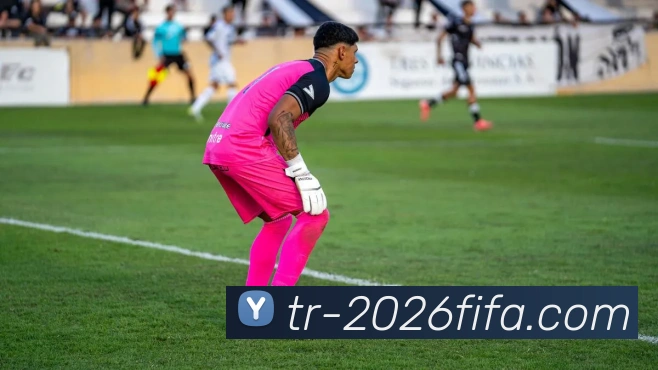 App Interface Preview